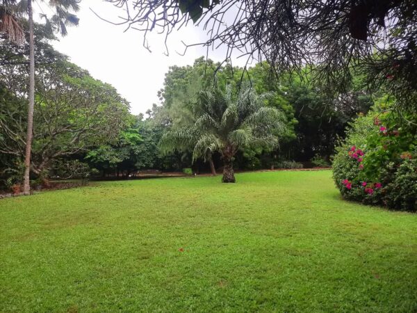 Rufus Green Parks