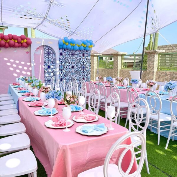 Sc Backdrops and Events - Image 10