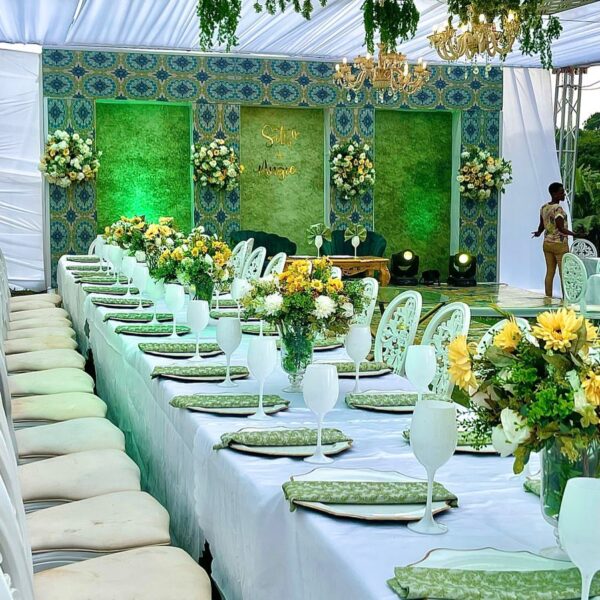 Sc Backdrops and Events - Image 12