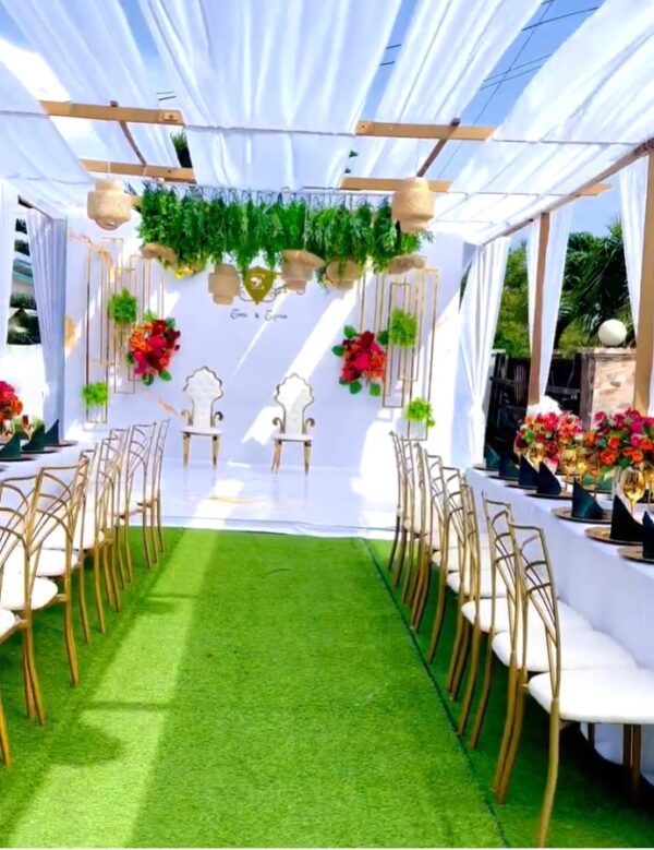 Sc Backdrops and Events - Image 40