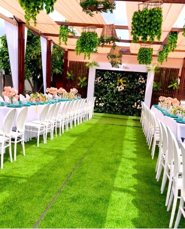 Sc Backdrops and Events - Image 46
