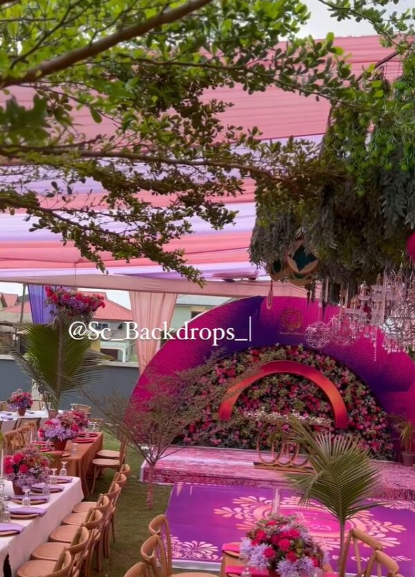 Sc Backdrops and Events - Image 51
