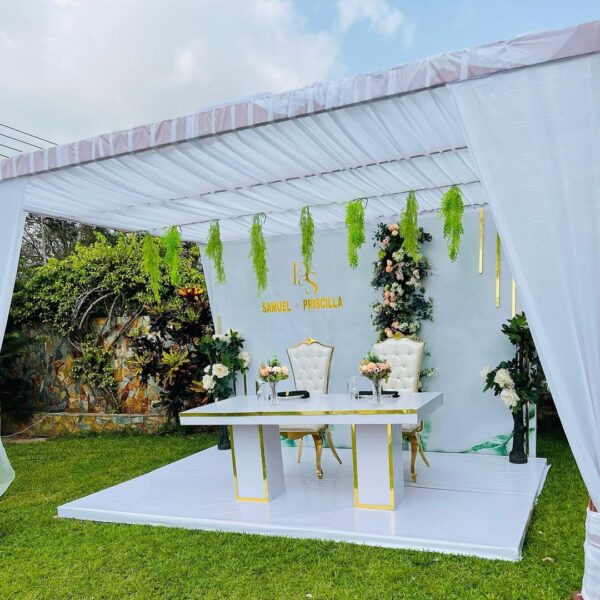 Sc Backdrops and Events - Image 25