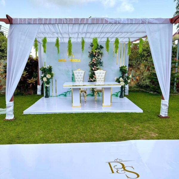 Sc Backdrops and Events - Image 27