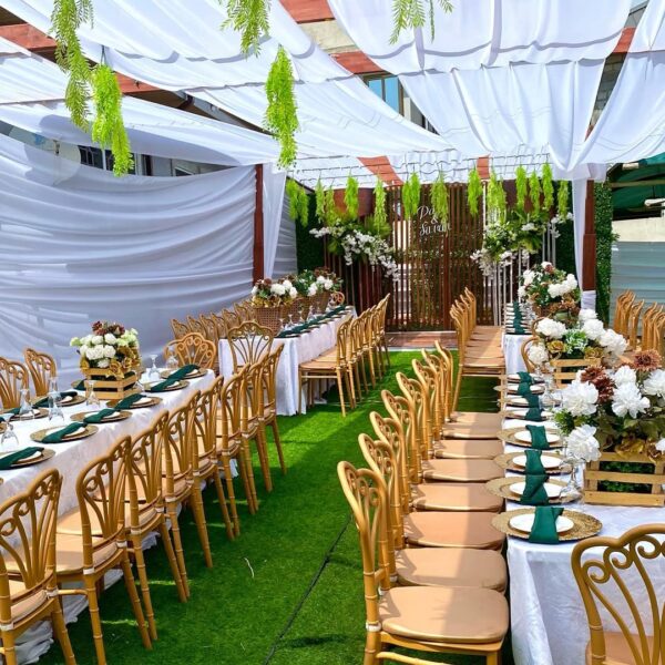 Sc Backdrops and Events - Image 28