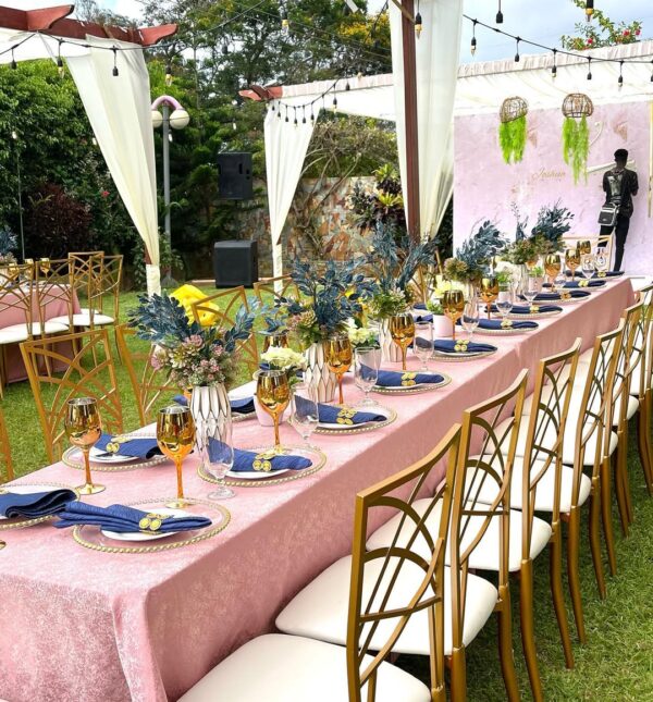 Sc Backdrops and Events - Image 32