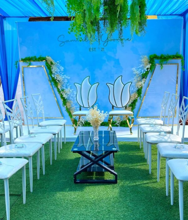 Sc Backdrops and Events - Image 37