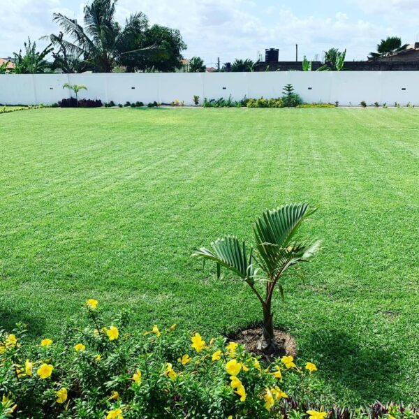 The Garden at East Legon - Image 7