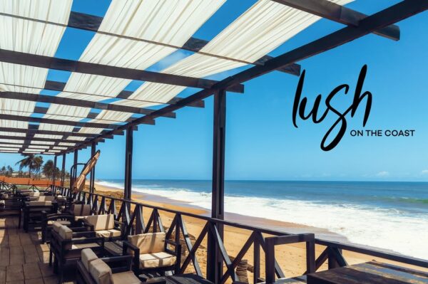 Lush on the Coast - Image 14