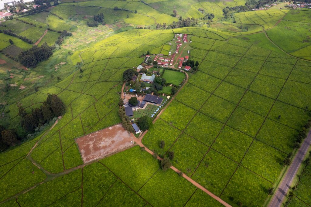 Camellia Gardens is a wedding and event ground in Limuru, Kenya. Image Source: Instagram/@camelliagardens